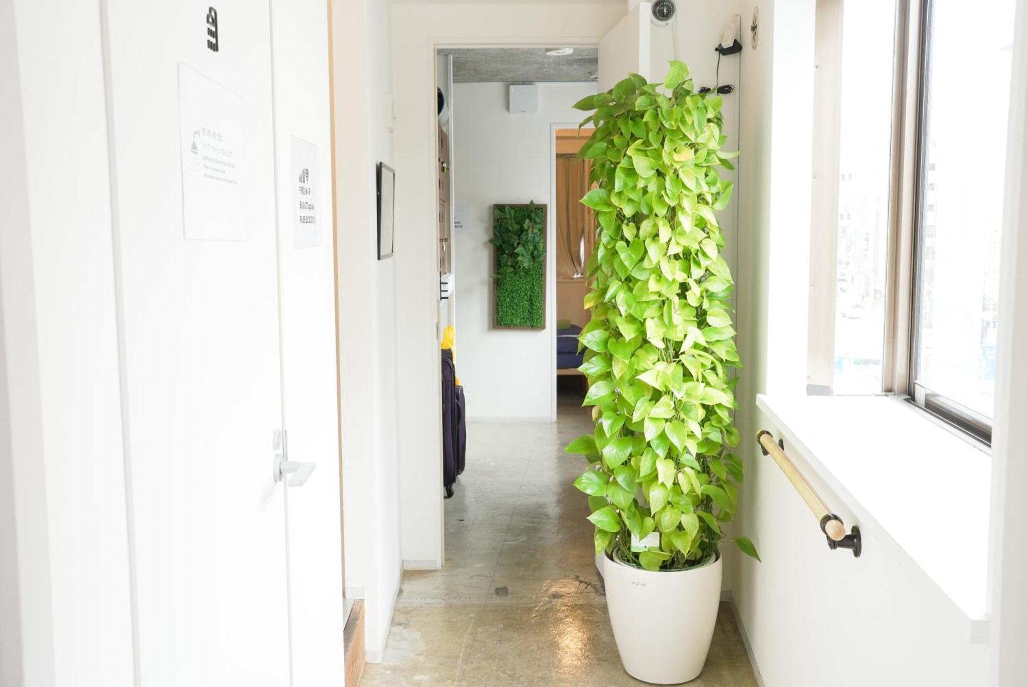 Hostel Lodging Tokyo Uguisudani Eksteriør bilde